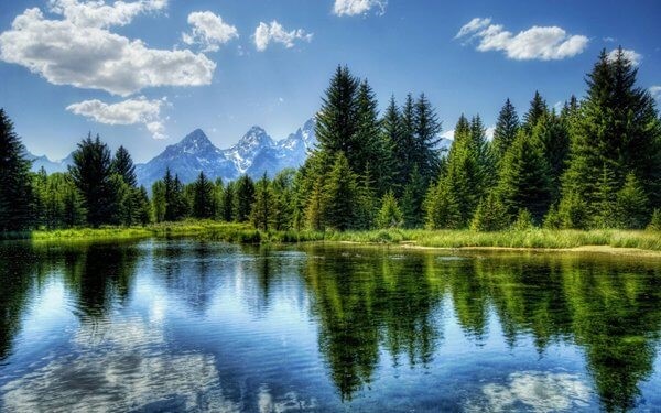 Bild av ett landskap med berg, skog och sjö