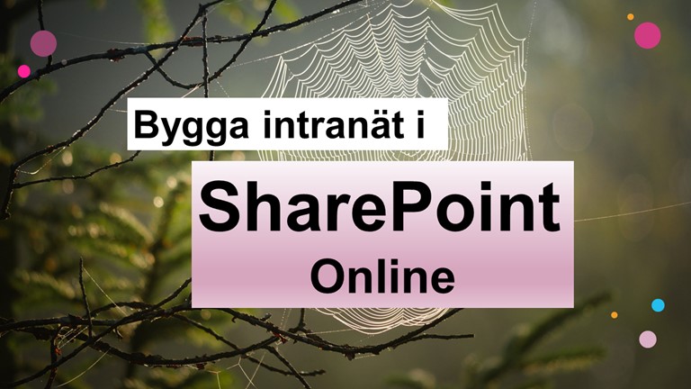 Kurs om att bygga intranät i Sharepoint online