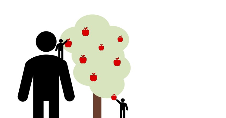 En person står på axeln till en annan person och kan nå många frukter i trädet. En annan person står på marken och kan bara nå de lågt hängande frukterna.