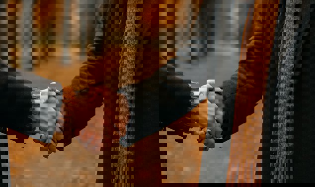 Två personer som skakar hand